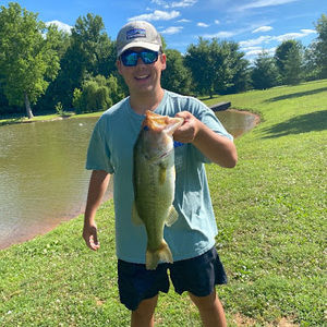 Meet your Posher, Cole